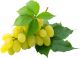 Zaini Grape 500g