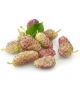 My berries 