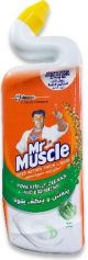 Mr Muscle Toilet Cleaner Mint 700ml