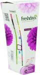 Freshdays Daily Comfort String Pantyliners *24