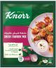 Knorr Shish Tawook Mix 30g