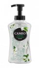 Cameo Foaming Hand Wash Blossom 500 ml