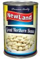 New Land Baked Beans Can 439g