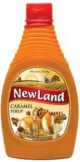 New Land Caramel Syrup 680g