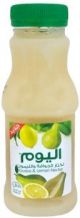 Alyoum Nectar Guava and Lemon 250ml