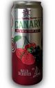 Canary Sparkling Beverage Wild Berries 330ml