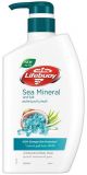 Lifebuoy Sea Mineral & Salt Body Wash 500ml