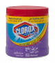 Clorox Powder for Color Clothes 500G