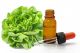 Lettuce Oil