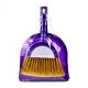 Dustpan with large broom
