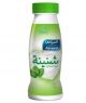 Almarai Shanina Mint 250 ml