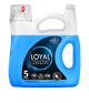 Loyal liquid concentrate 5 liters