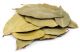 Guava Leaves