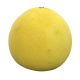 Pomelo