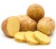 Potato