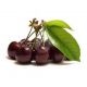 Red Cherry
