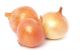 Small Roasting Onion