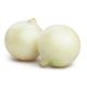 White Onion