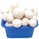 Mushroom 200g