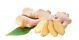 Ginger