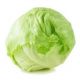 Iceberg Lettuce