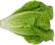 Local Lettuce