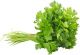 Parsley