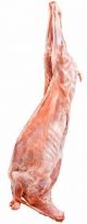 Local Fresh Lamb