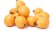Loquat