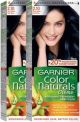 Garnier Color Naturals Deep Blue Black Color No.2.1 *2
