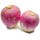 Turnip