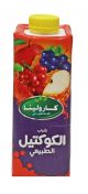 Karolina Cocktail Juice 250ml