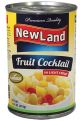 New Land Fruit Cocktail 410g