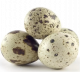 Al-Samman Ferri Egg *24