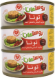 Postman Light Tuna In Oil And Chilli Pepper 160g*3