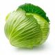 Green Cabbage