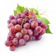 Halawani Grape