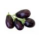 Small Eggplant