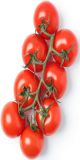 Bunch Tomato