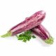 Aubergine Eggplant