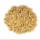Local Malt