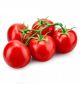 Qatoof tomatoes