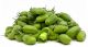 Carrier ( Green Chickpeas )