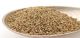 Celery Seeds