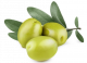 Nepalese green olives