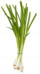 Green Onion