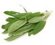 Sage
