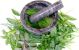 Lexative Herbs