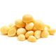 Macadamia